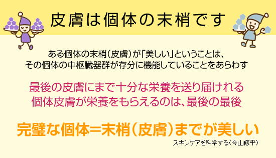 �畆�͌̖̂����ł� - ����̖̂����i�畆�j���u�������v�Ƃ������Ƃ́A���̌̂̒�������Q�������ɋ@�\���Ă��邱�Ƃ�����킷 - �Ō�̔畆�ɂ܂ŏ\���ȉh�{�𑗂�͂����̔畆���h�{�����炦��̂́A�Ō�̍Ō� - �����Ȍ́������i�畆�j�܂ł������� - �X�L���P�A���Ȋw����i���R�C���j